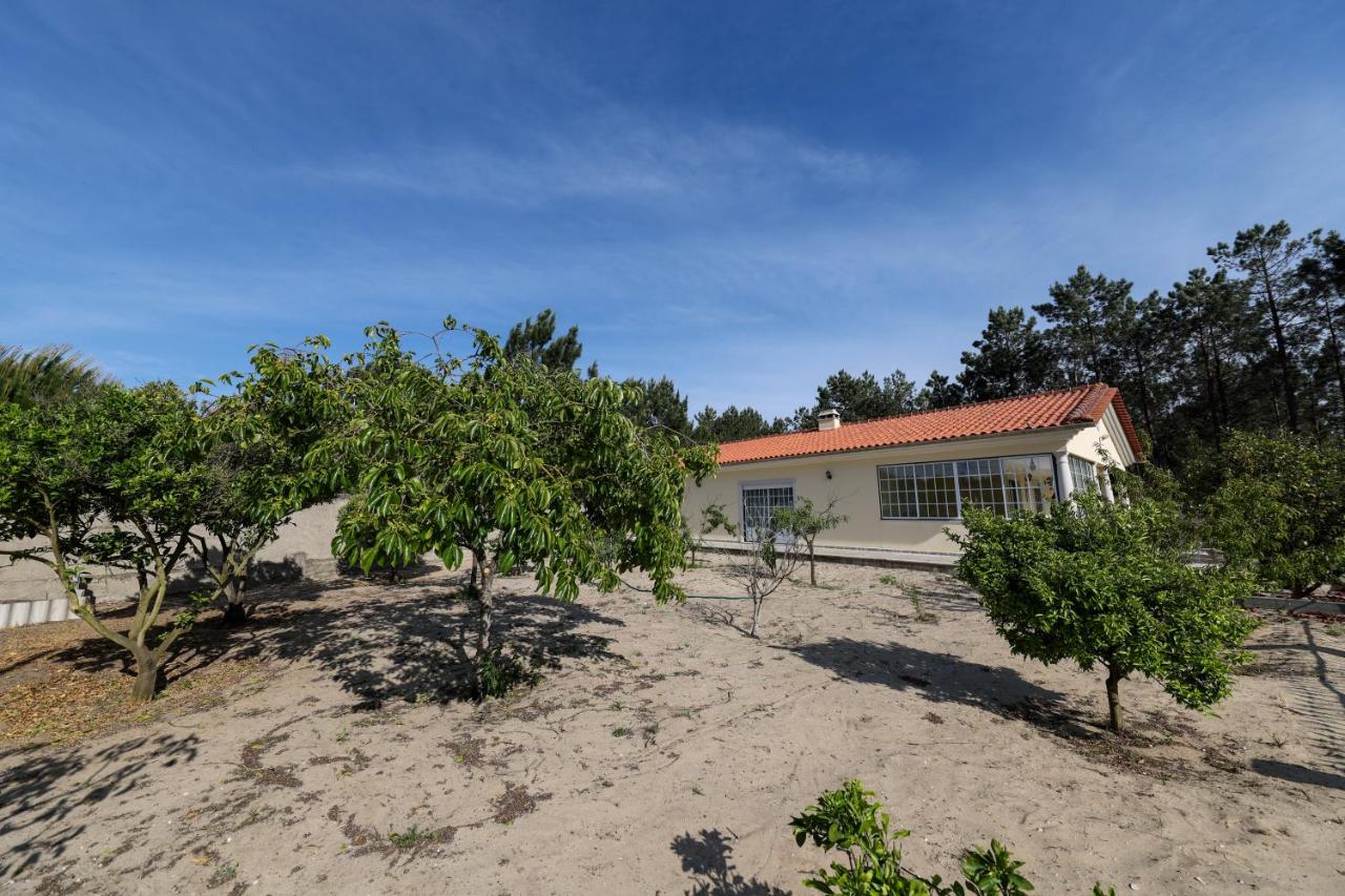 Maison 3 Chambres