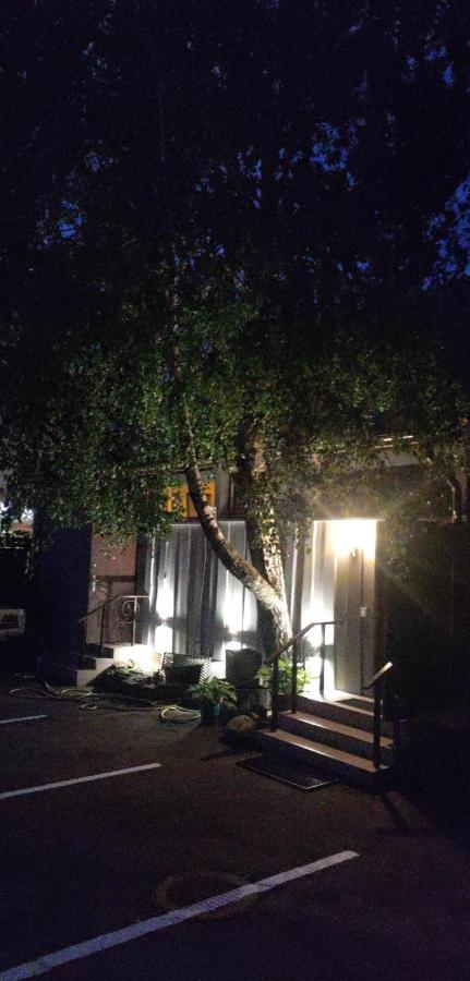 Apartamentai Sinagogos 9 - Ferienwohnung Palanga