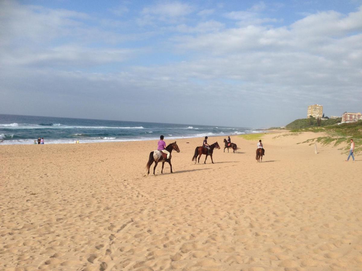 Seaview Apartment Amanzimtoti - Ferienwohnung eManzimtoti