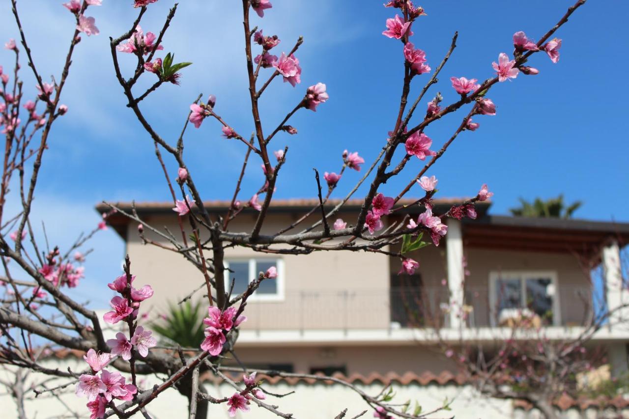 Residenza Anna Calabria - B&B