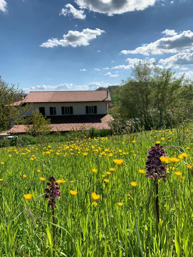 B&B Gubbio - Butterflies Rest - Bed and Breakfast Gubbio