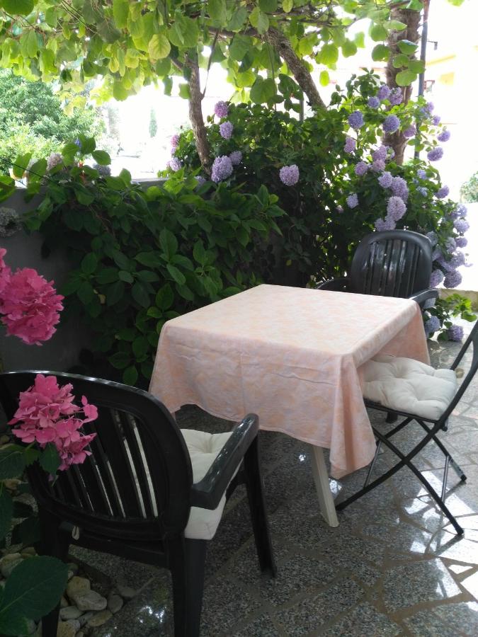 Apartment with Terrace