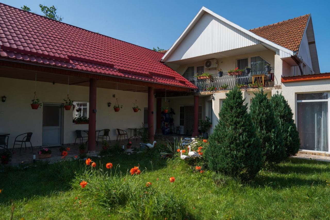 B&B Tăşnad - Denisa & Rares - Bed and Breakfast Tăşnad