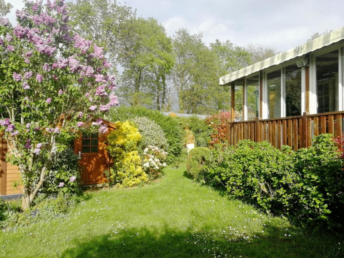 Mobilhome familial à Blonville-sur-Mer, piscine, tennis, proche de la plage - FR-1-712-59 - B&B