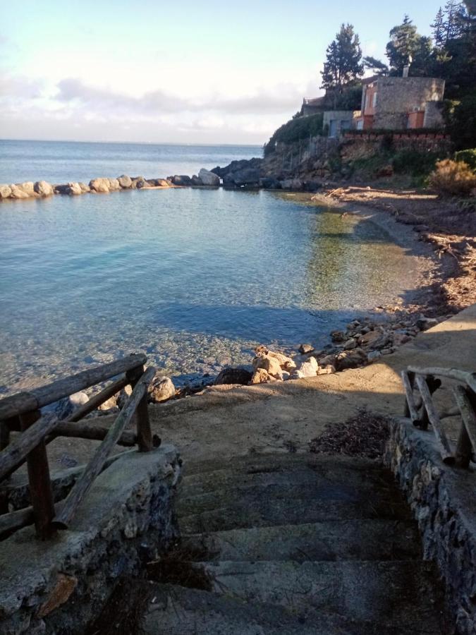 Cottage Pura Vigna immerso nella natura vicino al mare - B&B Porto Santo Stefano