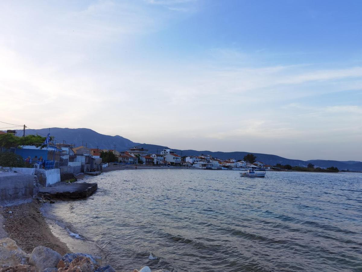 Apartment mit 2 Schlafzimmern