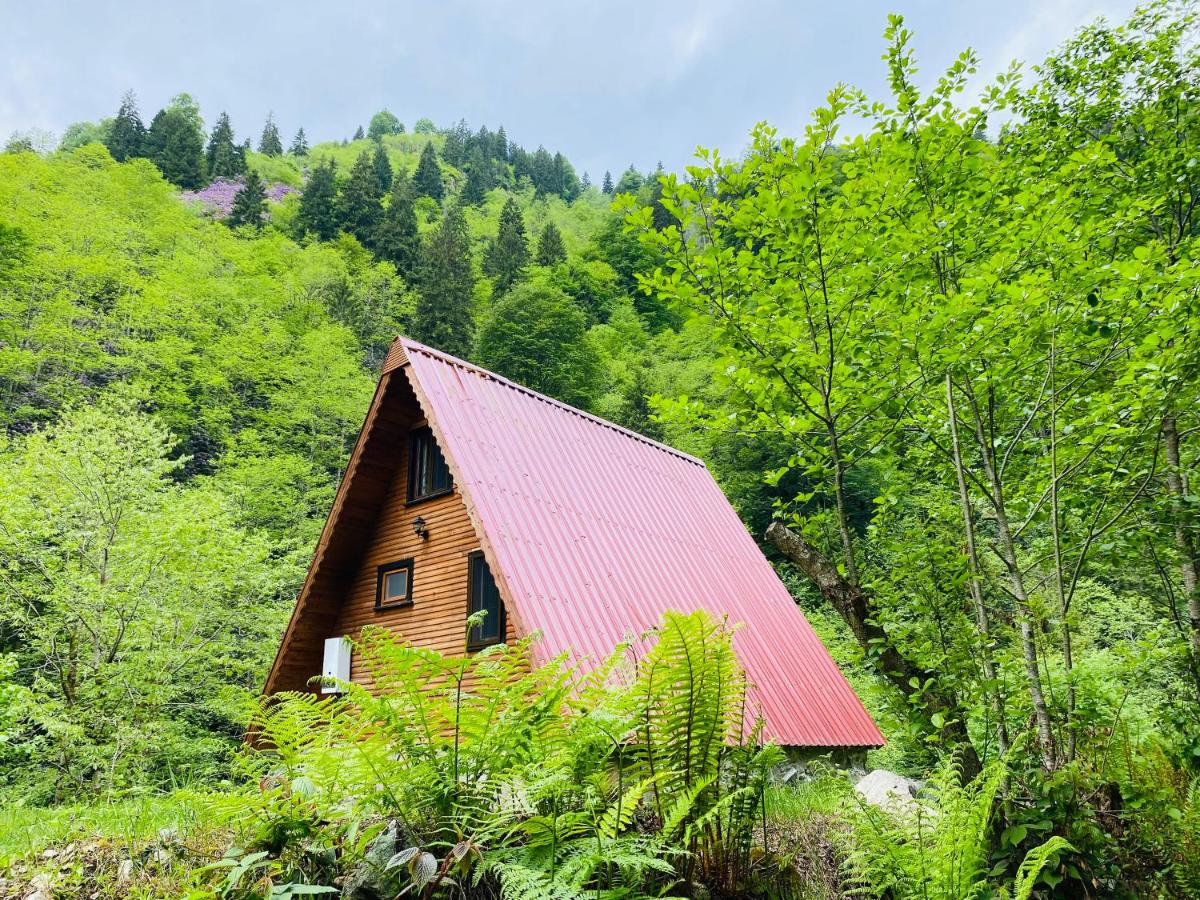 Mountain House - Bungalow - B&B
