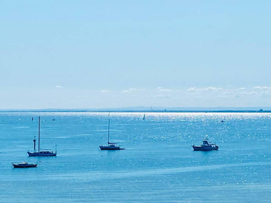 Bay Rd Kids & Pet Friendly Free Parking - B&B Cheltenham