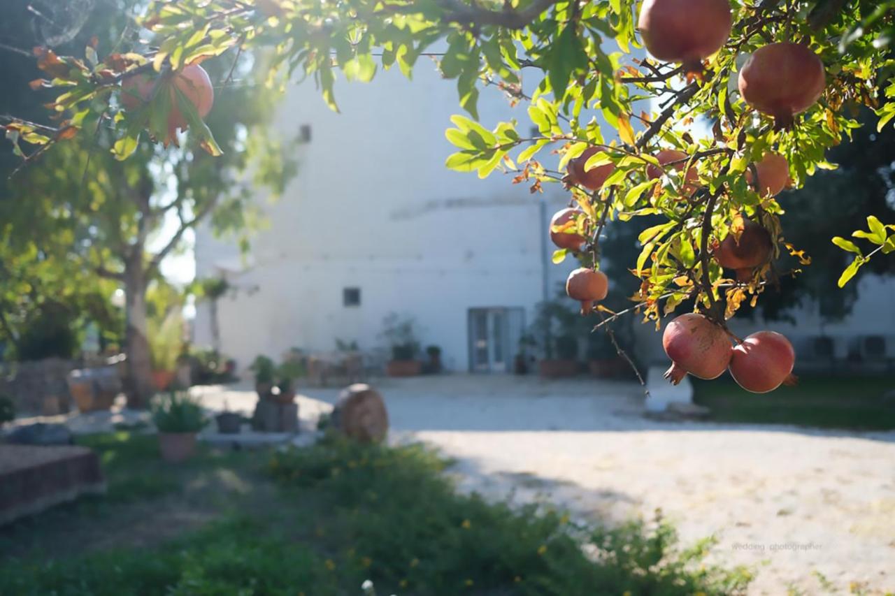 Masseria Giangrande - Rooms and Apartment - B&B Polignano a Mare