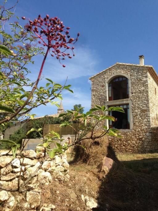 Mas Saint-Ferdinand - maison avec piscine - B&B La Capelle-et-Masmolène