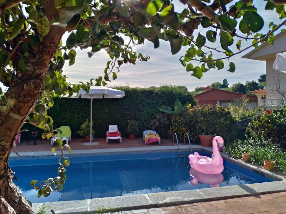 Swimming pool, beach and garden in Nigran - Bed and Breakfast Nigrán