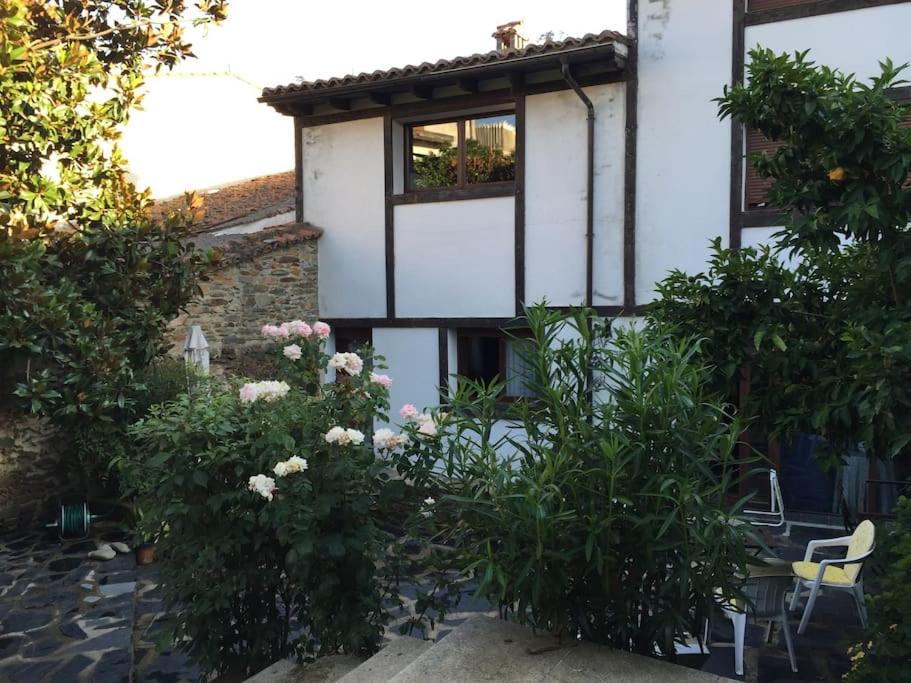 Casa rural con piscina privada - B&B Casar de Palomero