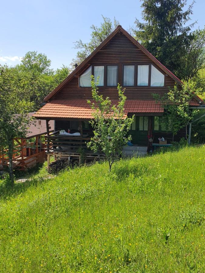 Almost Heaven - cabană cu vedere în Apuseni - B&B Câmpeni