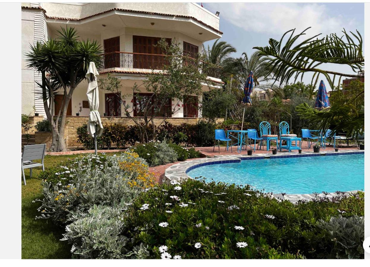 The White Oasis Family Villa - B&B Alexandria