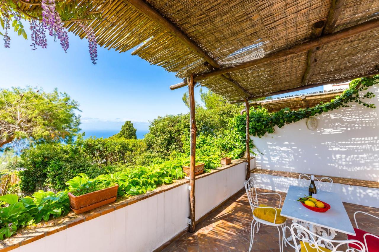 Villa delle Ninfee by Napoliapartments - B&B Anacapri