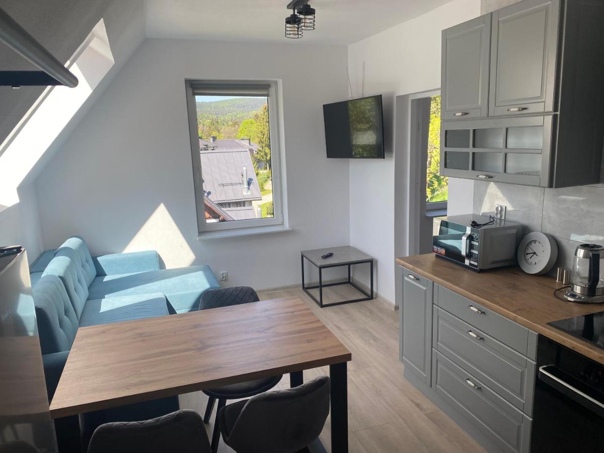 Mega widok 5 - Ferienwohnung Szklarska Poręba