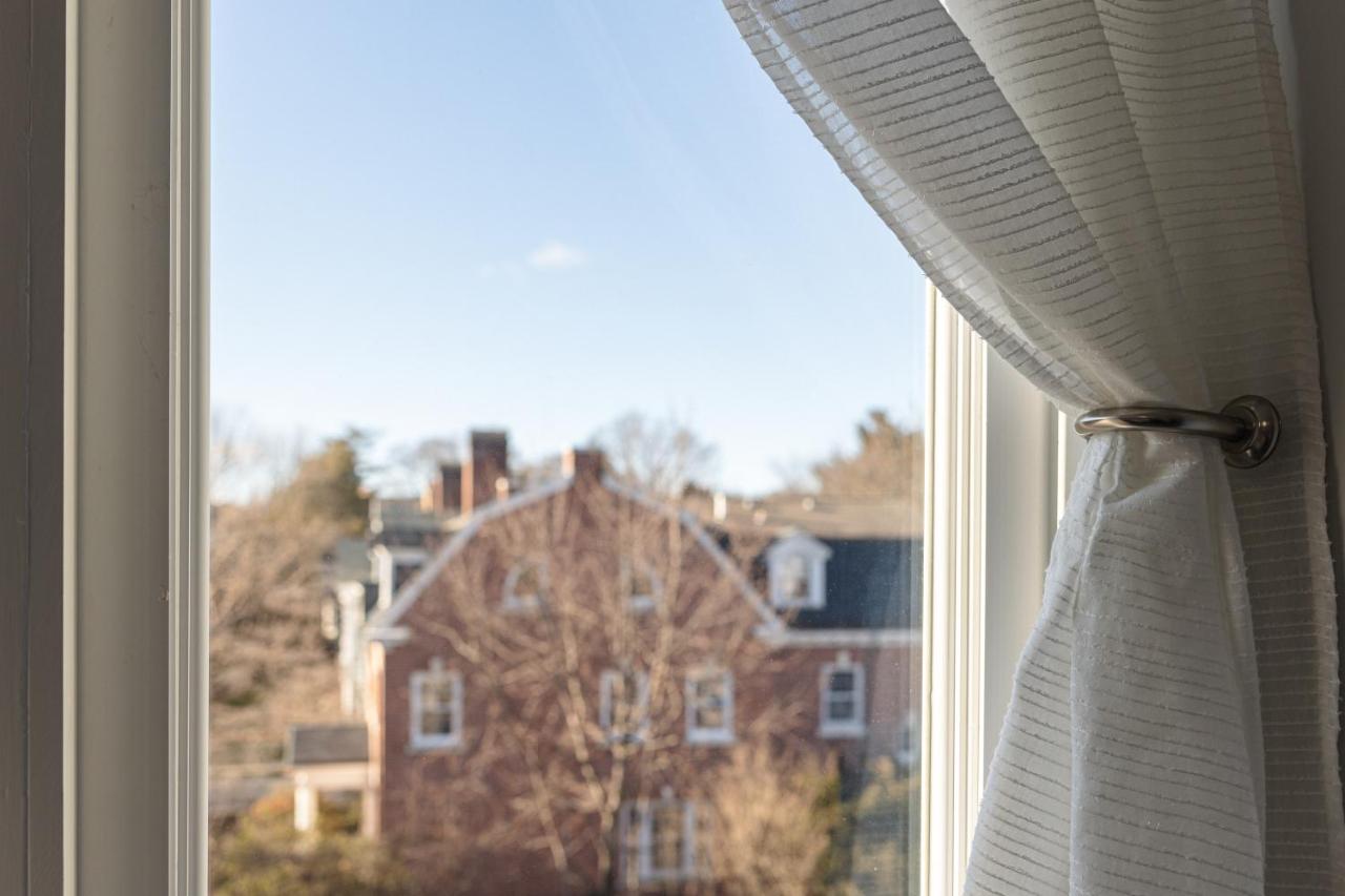 Urban Oasis in beautiful East Rock Free Parking Yale adjasent - Bed and Breakfast