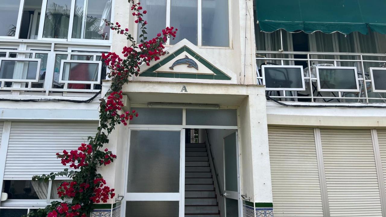 Delfín verde - B&B