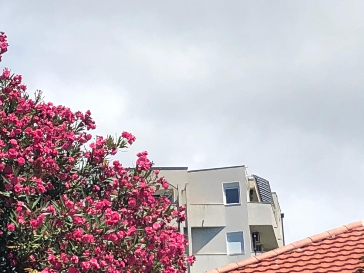 Panoramic Bliss - Ferienwohnung