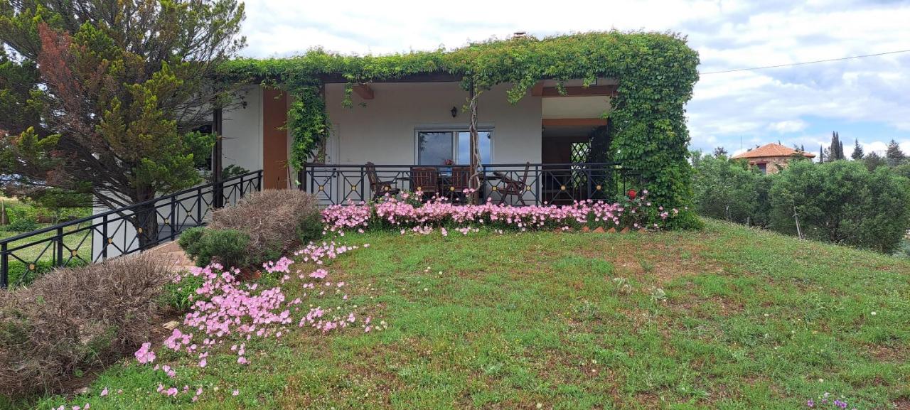 Hill View 4 - B&B