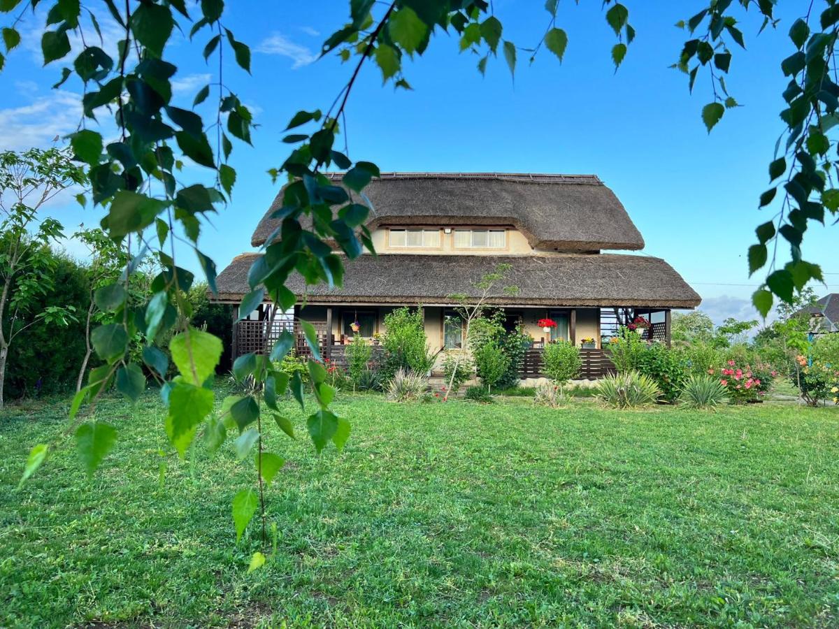 Pensiunea Andra - Chambres d’hôtes