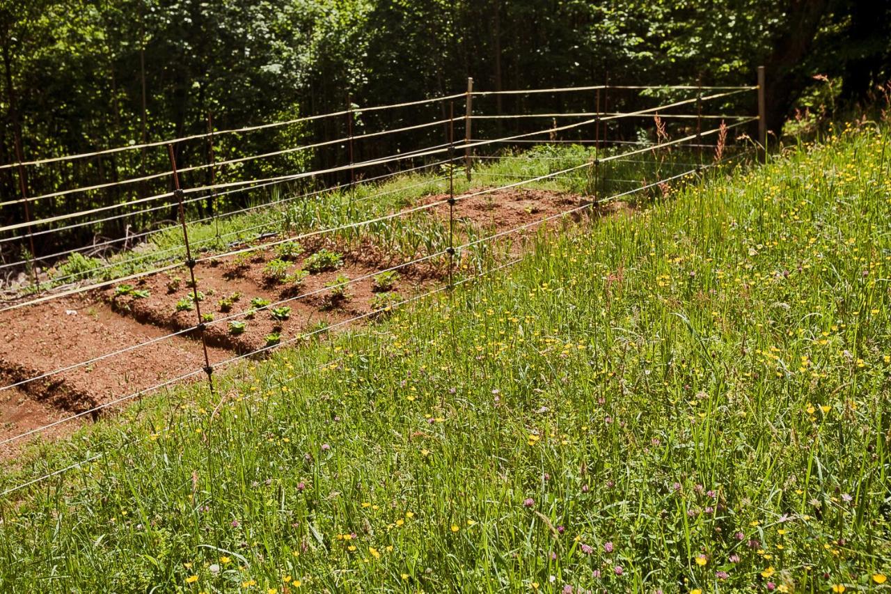 La perla nella foresta - Bed and Breakfast Vara Superiore