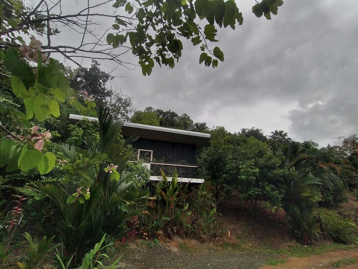 Cabinas fave - B&B Uvita