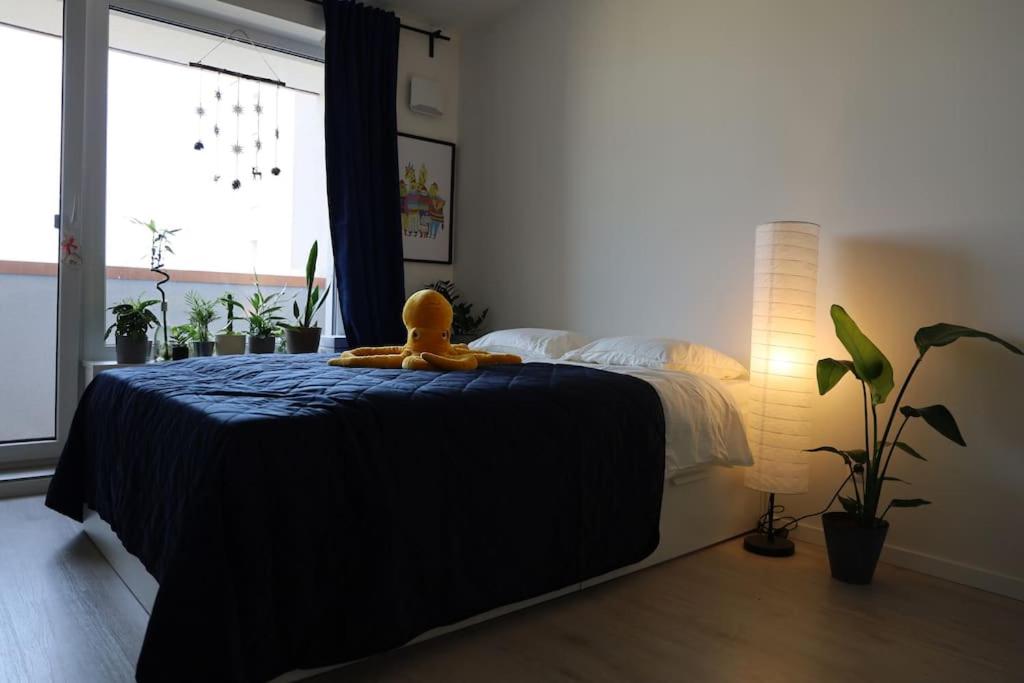 B&B Nivy - Sunny cozy apartment - Bed and Breakfast Nivy