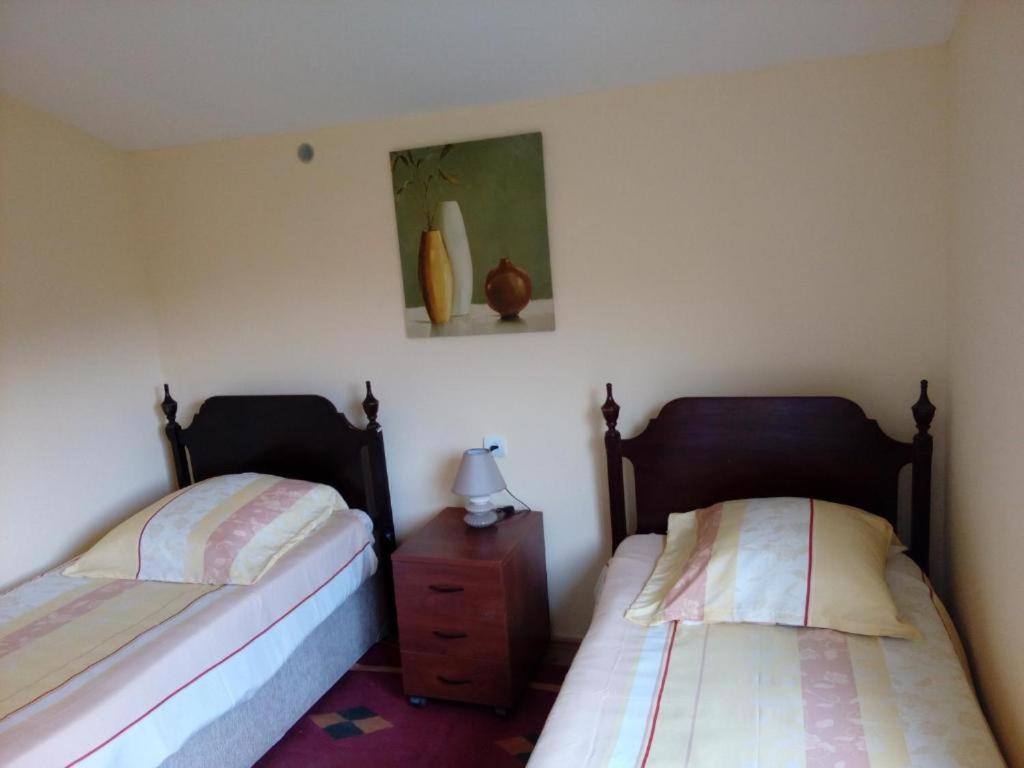 Double Room with Mountain View