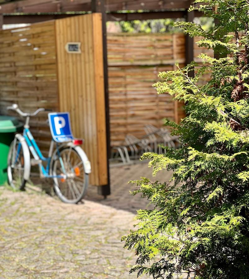 Traditionsgasthaus Goldener Löwe Riesa Restaurant & Pension - B&B Riesa