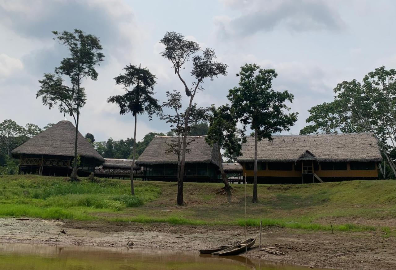 Ayahuasca Eco Tours - B&B Iquitos
