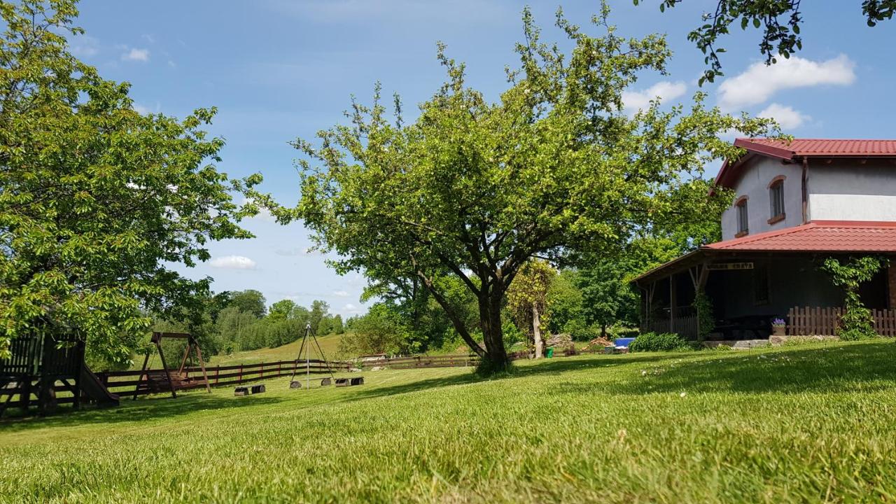 "Dolina szczęścia" Kartkowo - B&B