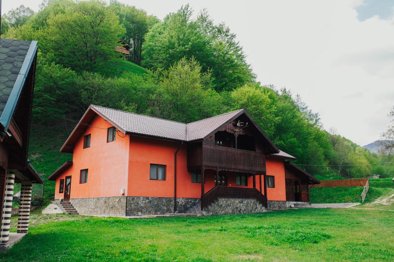 Cabana Bombonel - B&B Gura Teghii