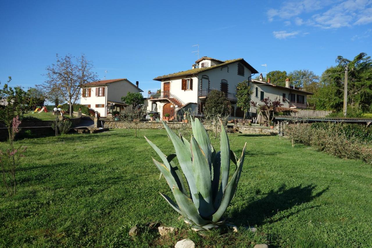 Casa Aloe B&B - B&B