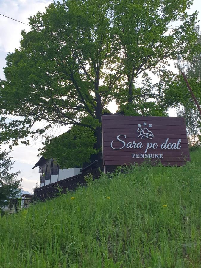 Pensiunea Sara pe deal - B&B Hangu