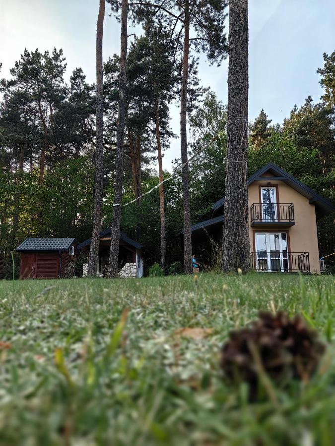Kajaki wino i śpiew - domek z sauną w otoczeniu lasów i sąsiedztwie zalewu - Chambres d'hôtes Zakrzówek Szlachecki
