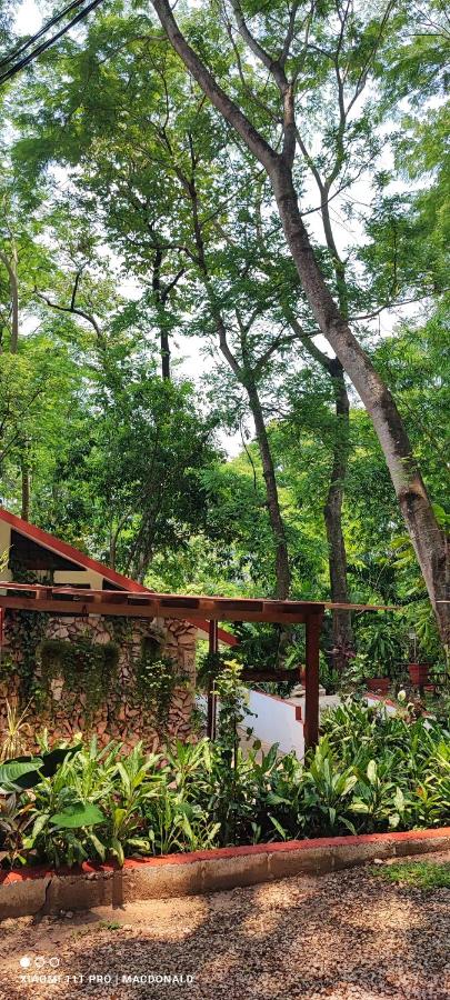 B&B Ruinas de Palenque - Casa Hadassa La Cañada - Bed and Breakfast Ruinas de Palenque