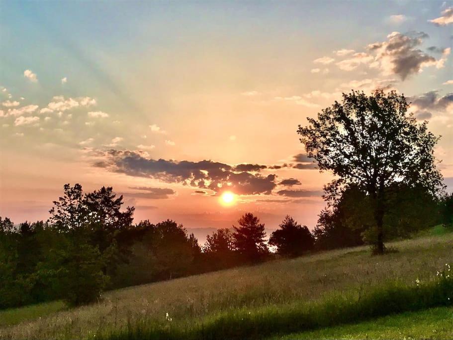 « Le Vieux Hangar » gîte à la ferme - B&B Truffe