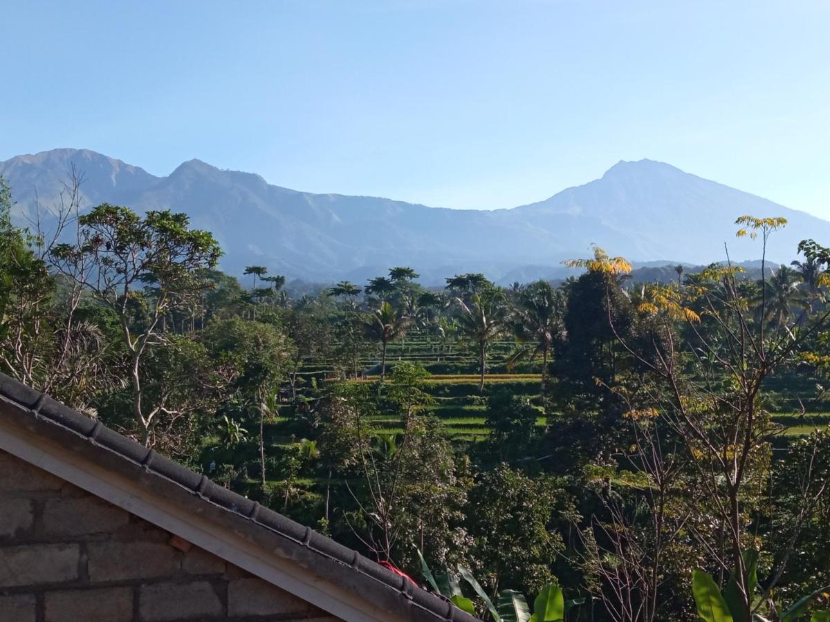 Tetebatu Fullmoon - B&B Tetebatu