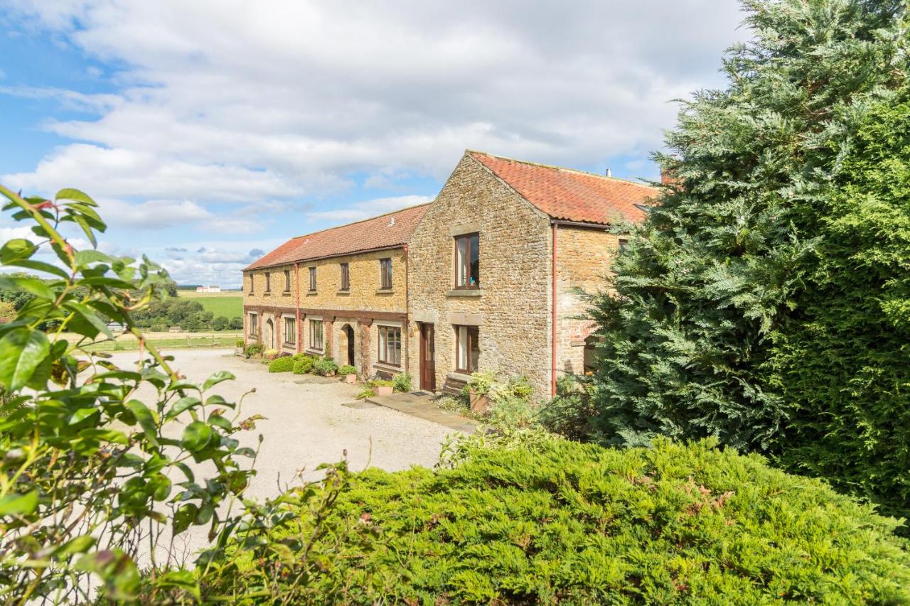 Phlomis - B&B
