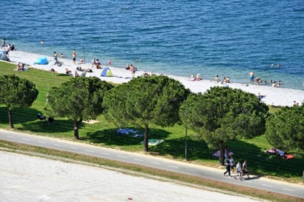 Apartma Pingo - B&B