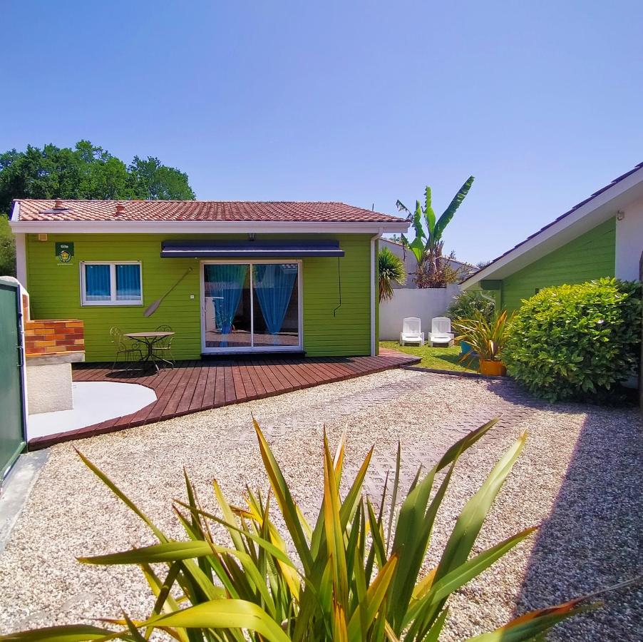 Gîte avec piscine et espace bien-être partagés entre Bordeaux et Lacanau océan - Bed and Breakfast