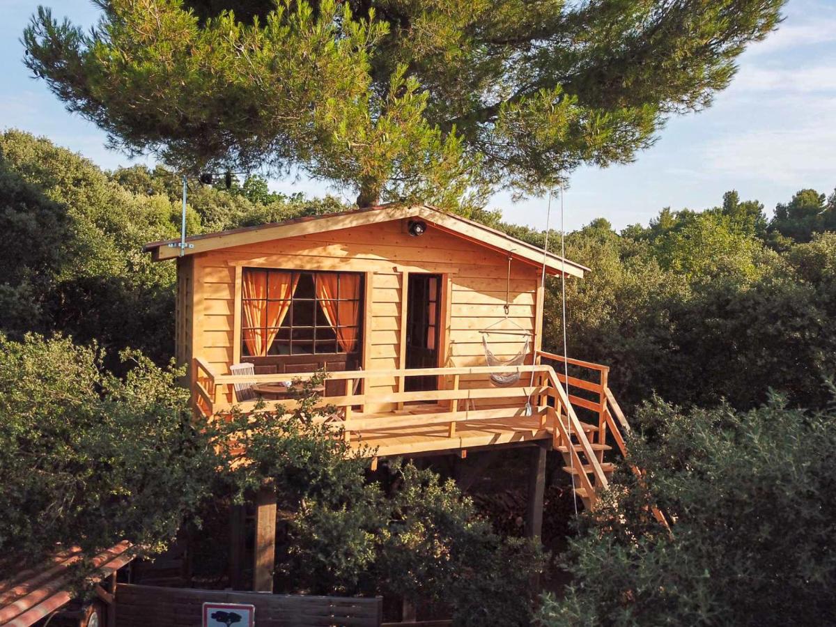 B&B Sorgues - Cabane dans les arbres au coeur d'un vignoble - Bed and Breakfast Sorgues