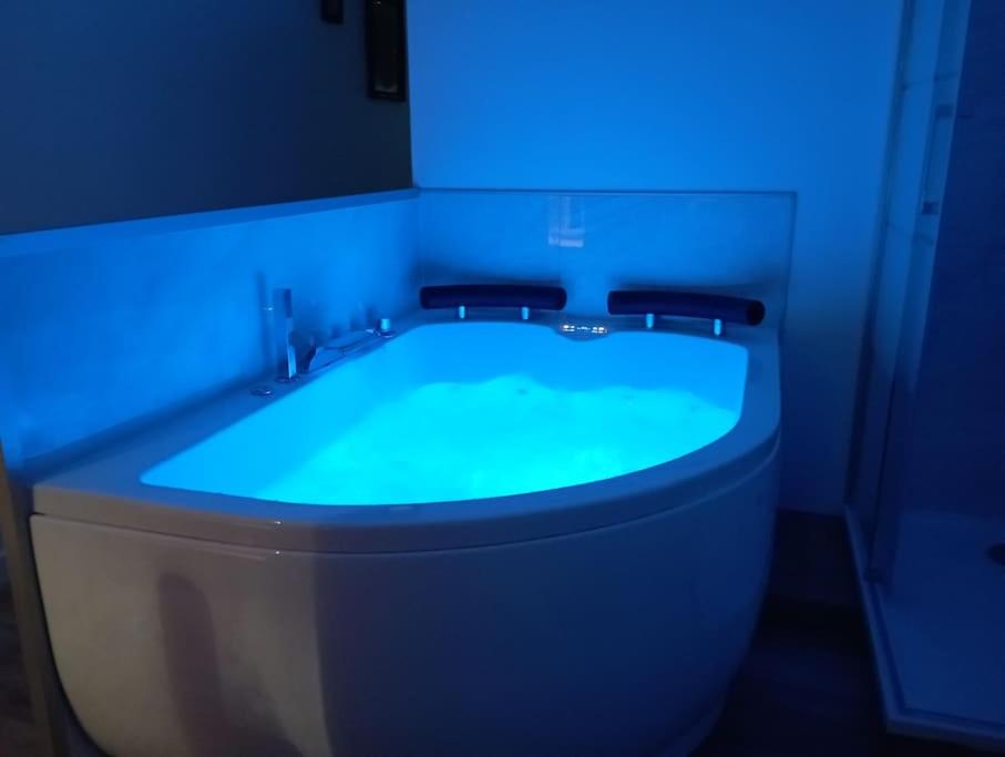 B&B La Roche-sur-Yon - Séjour Sauna et Jacuzzi Cocon - Bed and Breakfast La Roche-sur-Yon