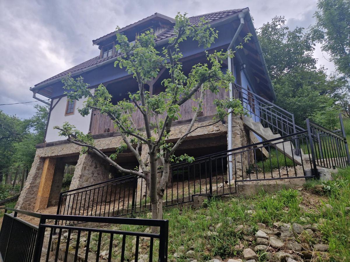 pensiunea carul mare - B&B