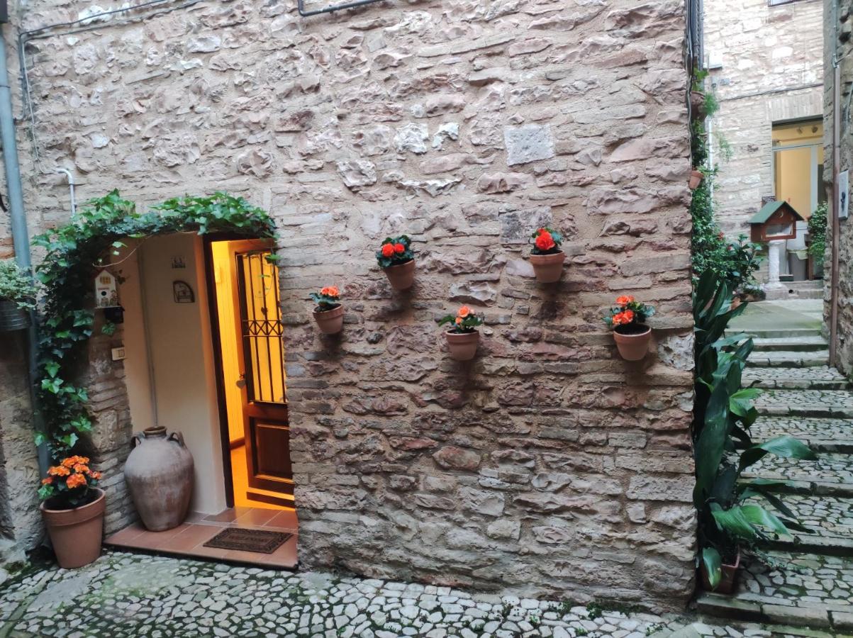 Nel vicolo dei Baci - Casa vacanze al Bacio - Ferienwohnung Spello