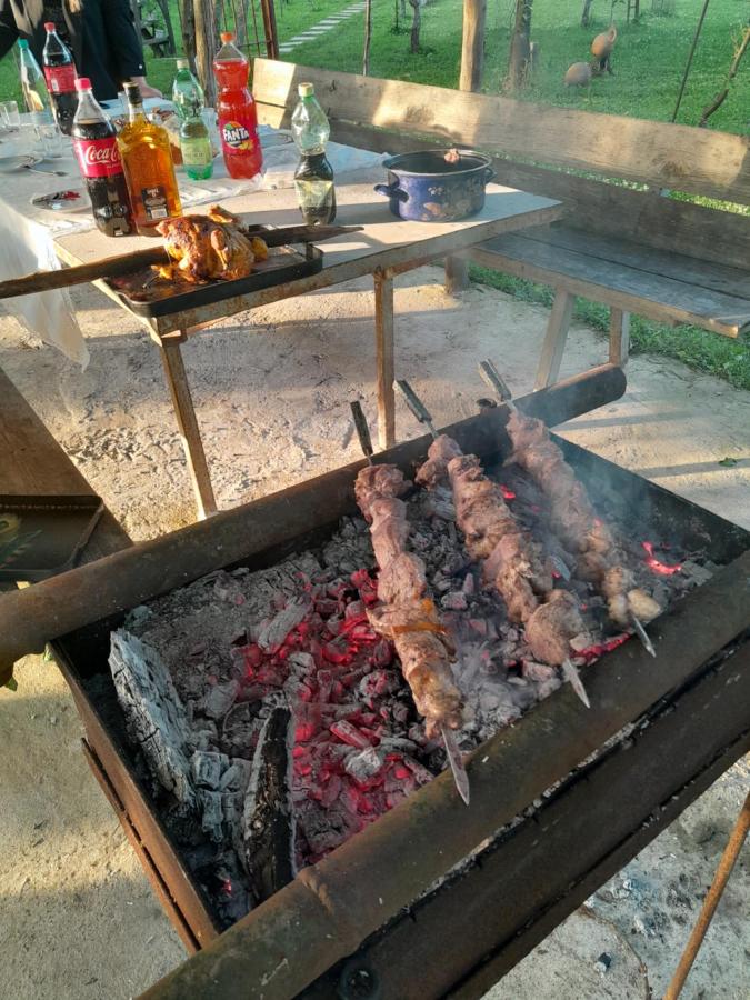 Eagle Nest - B&B Martvili