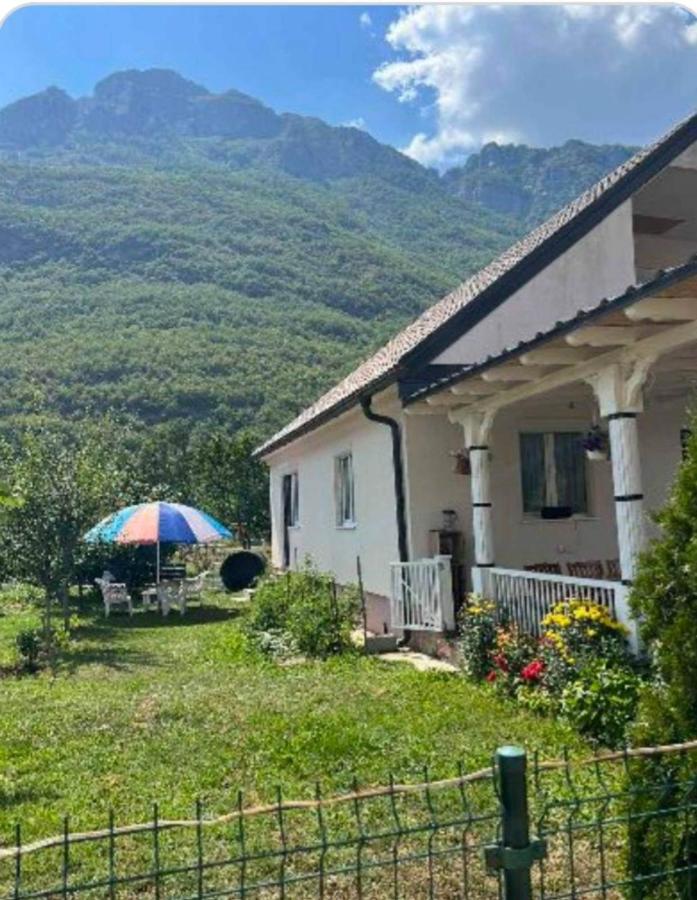 Lola Guest House - B&B Vusanje