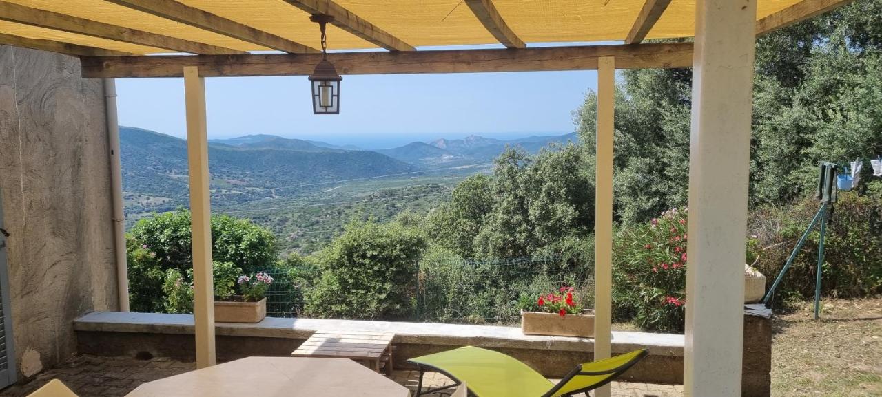 Vos vacances à Lama France Corse - Chambres d'hôtes Lama