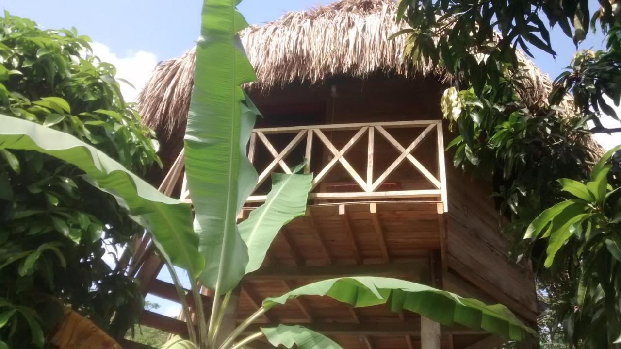 Posadas Ecoturisticas Seineken - B&B